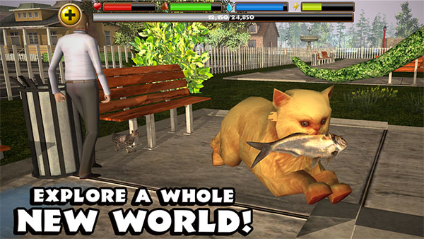 流浪猫模拟器手机版(StrayCatSim)截图4