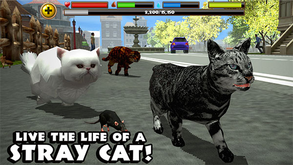 流浪猫模拟器手机版(StrayCatSim)截图3