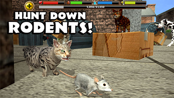 流浪猫模拟器手机版(StrayCatSim)截图1