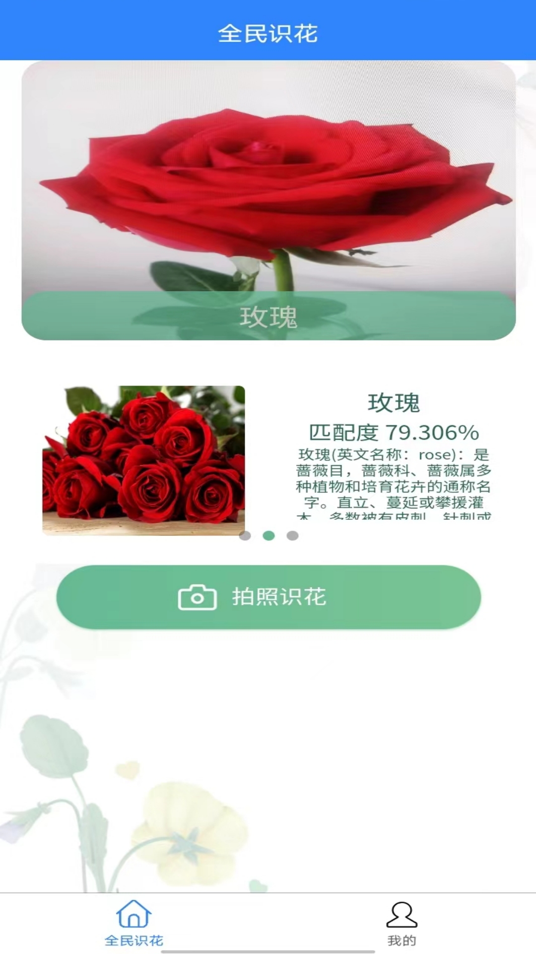 全民识花截图2