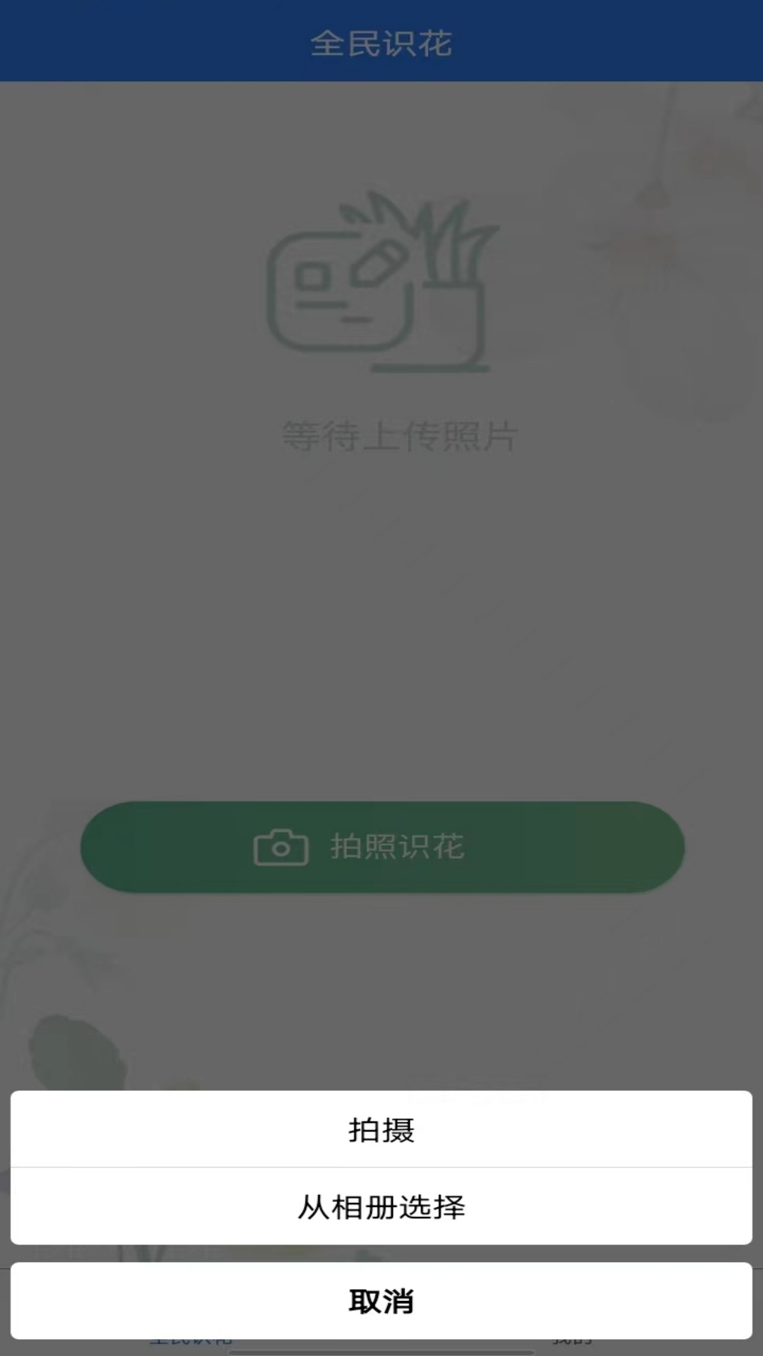 全民识花截图1