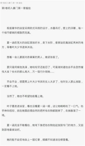 梦想家小说截图1