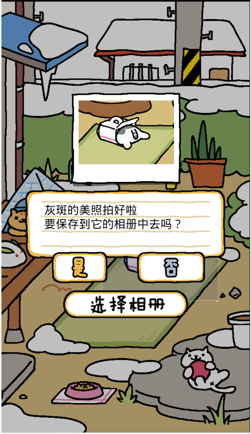 猫咪后院截图3