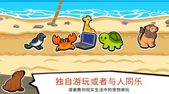 小动物自走棋中文版全动物截图3