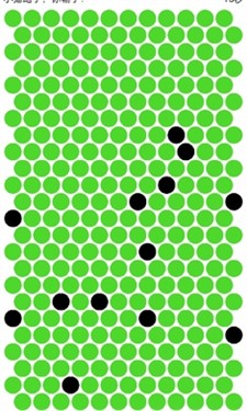 围小猫截图2