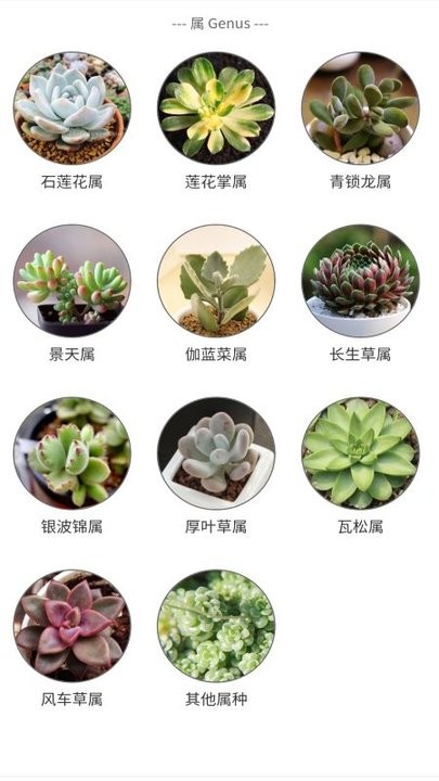 孕期帮手app截图2