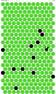围小猫截图1