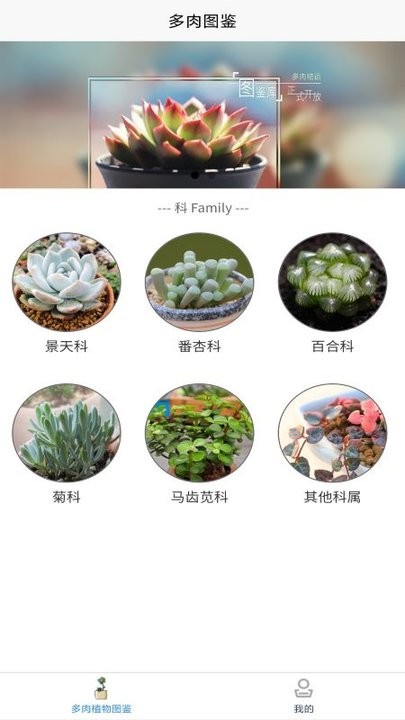 孕期帮手app截图3