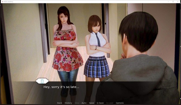waifuacademy汉化版截图2
