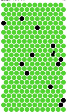 围小猫截图3