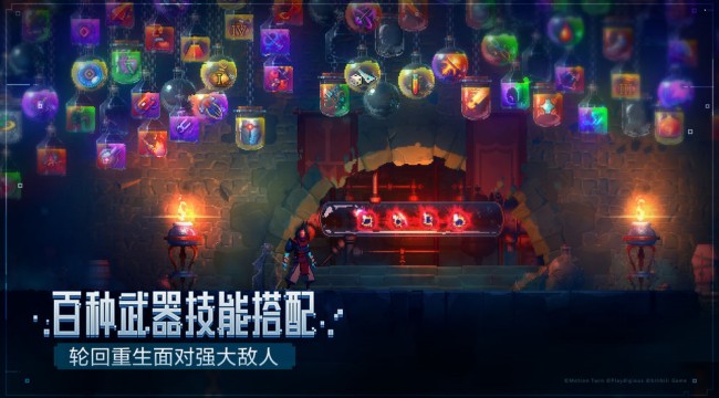 重生细胞手机版截图3