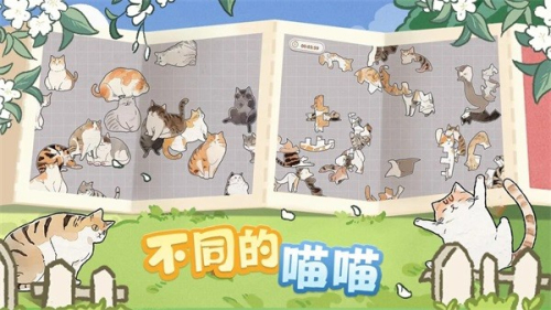 挤在一起的猫猫们截图1