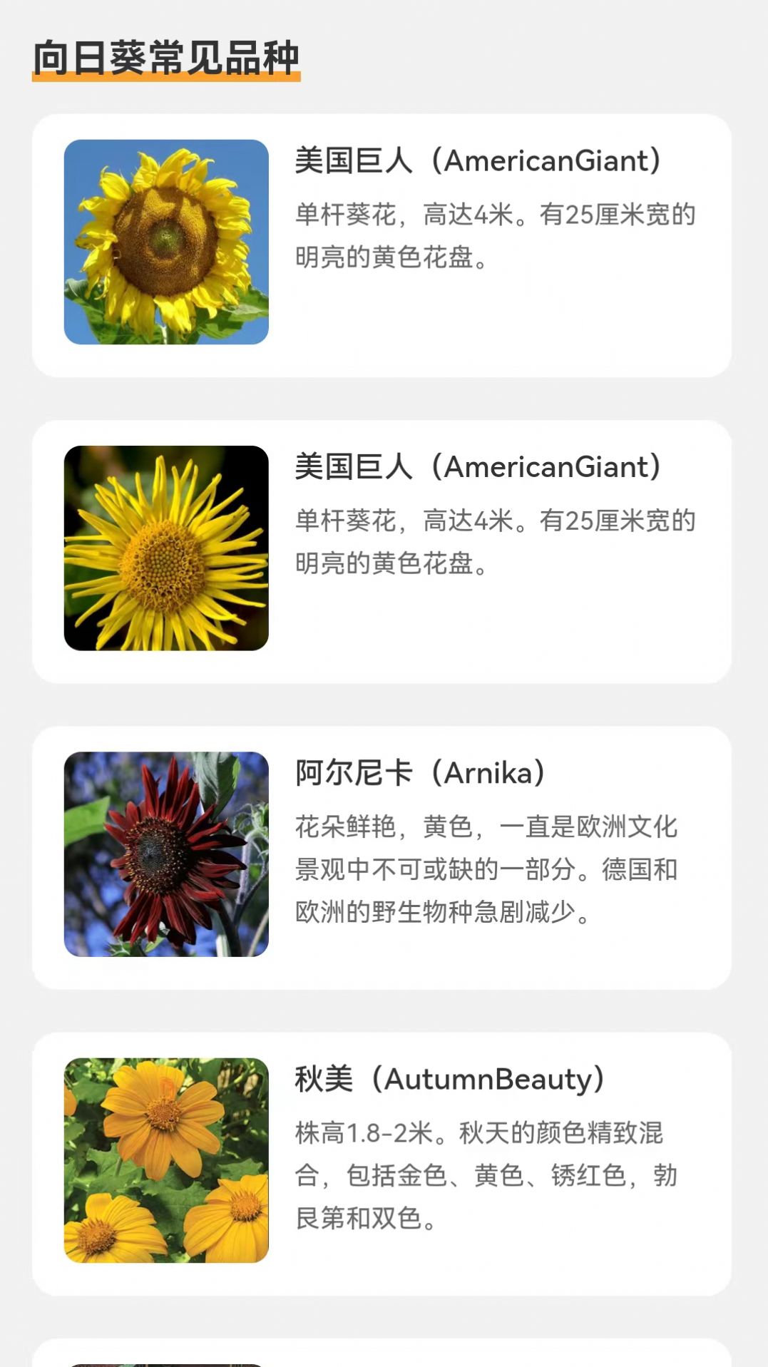 向阳流量截图1