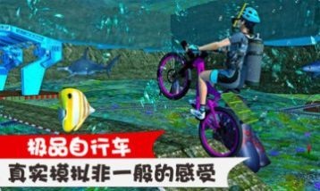 极品自行车截图3