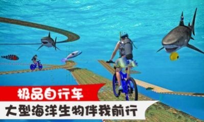 极品自行车截图1