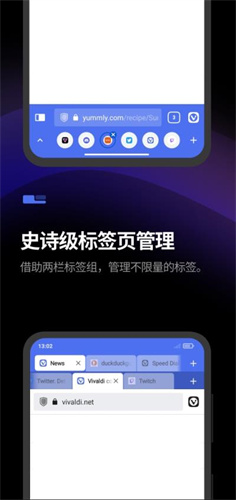 vivaldi浏览器截图1