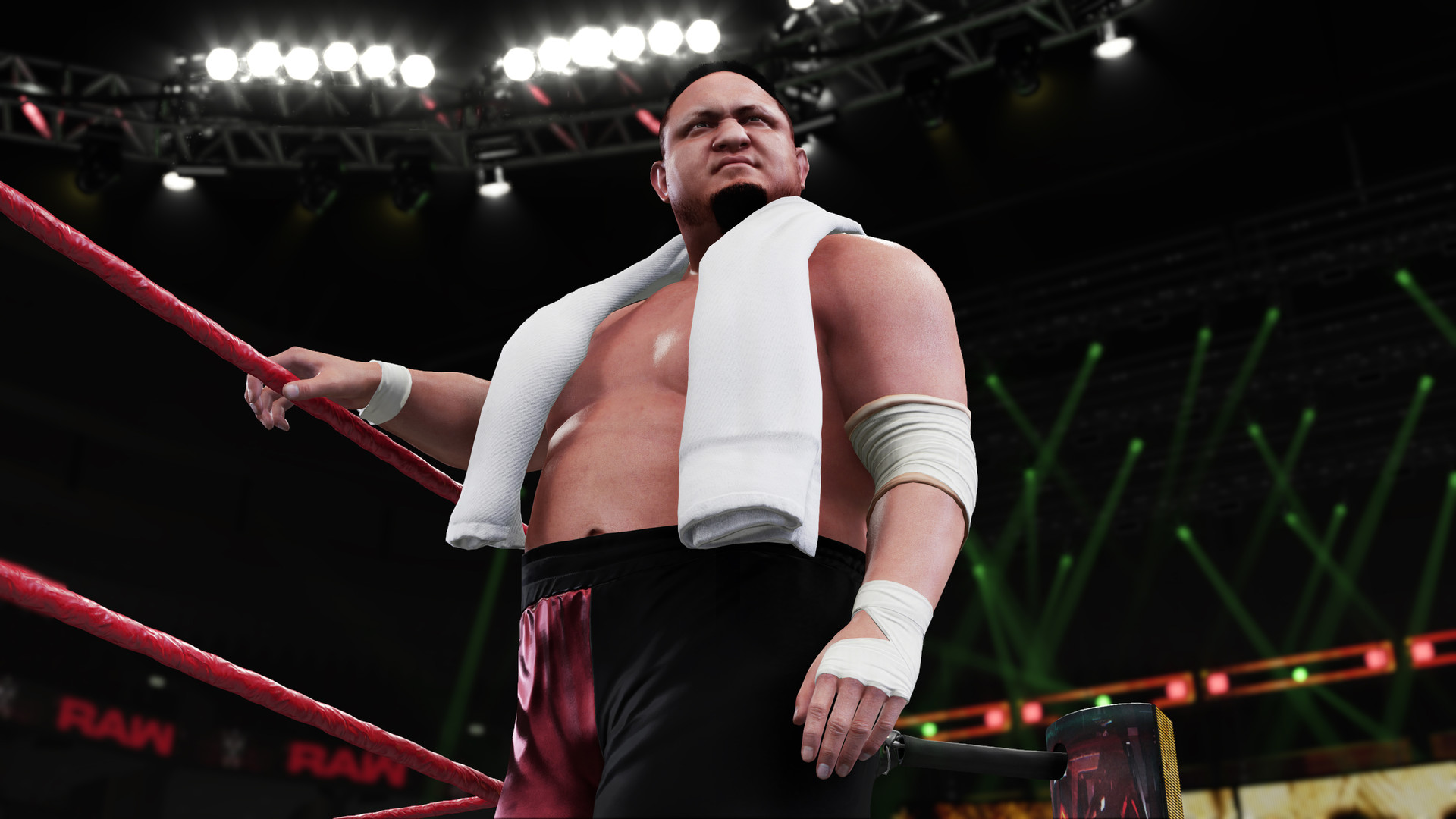 wwe2k19截图2