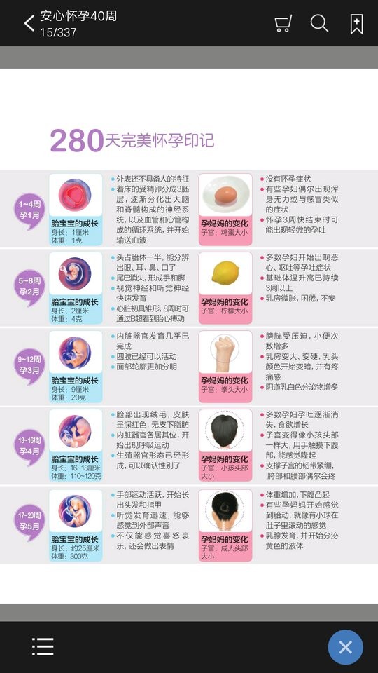 安心怀孕40周手机版截图3