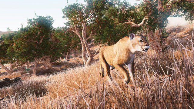 模拟狩猎中文破解版截图2