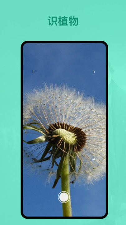 识植物软件截图2