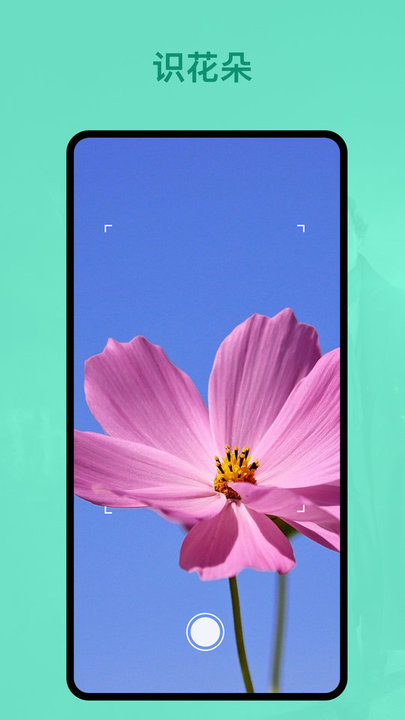 识植物软件截图1