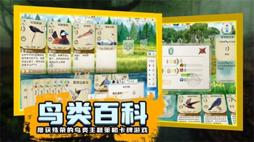 鸟类观察家截图3