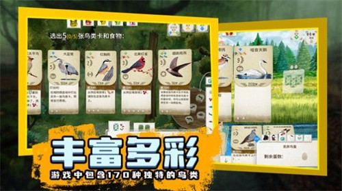鸟类观察家截图1