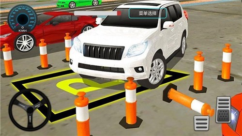 驾校科考模拟器截图2