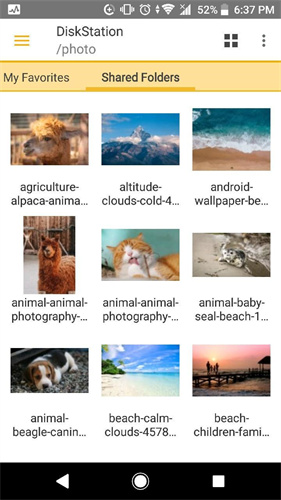 ds file截图3
