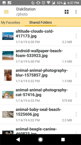 ds file截图1