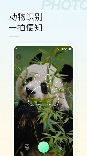 智能拍照识物截图4