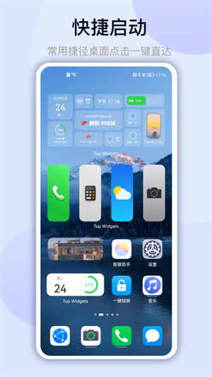 Top Widgets截图4