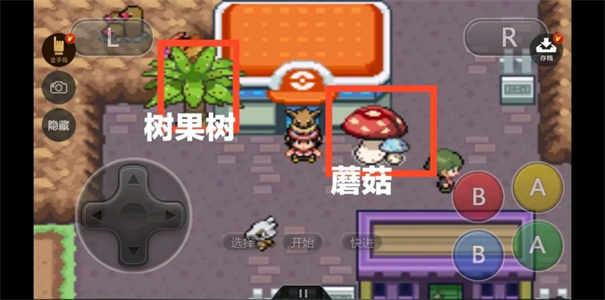 口袋妖怪黎明截图2