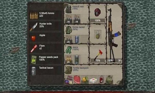 迷你dayz老兵解锁版截图5
