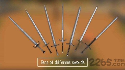 刀剑竞技场战斗手机版截图2