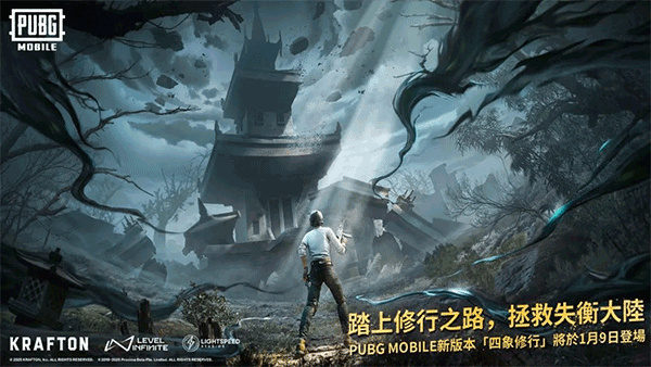 pubg国际服正版截图3