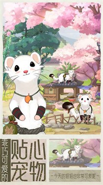 代号梦截图3