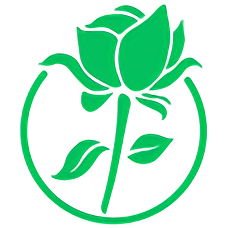 零洞影视：海量影视资源下载，流畅观影体验