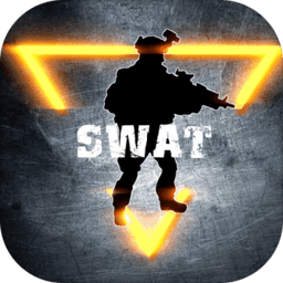 维和特警游戏下载与安装指南