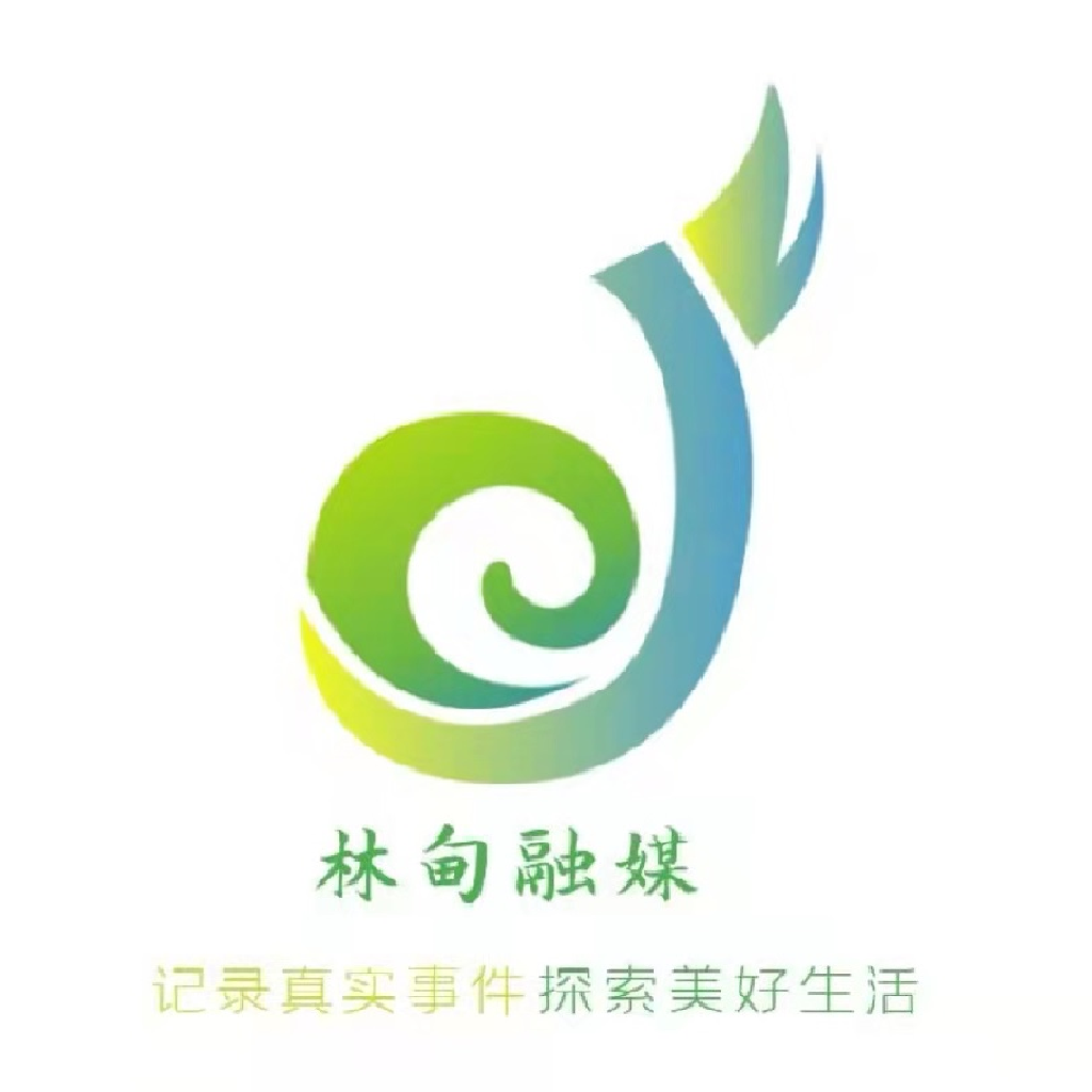 掌上林甸app安卓下载 - 全面的生活服务移动平台