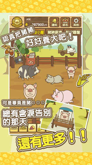 养猪场mix游戏下载:探索个性化装饰与珍稀猪只养成挑战