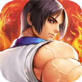 下载《格斗拳魂》游戏,体验乐在其中格斗挑战