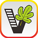 我要自学网Android生活实用课程下载专区