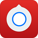 小决定转盘中文版：快速决策下载