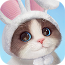 《我和我的猫》游戏官方版下载：体验养猫的乐趣