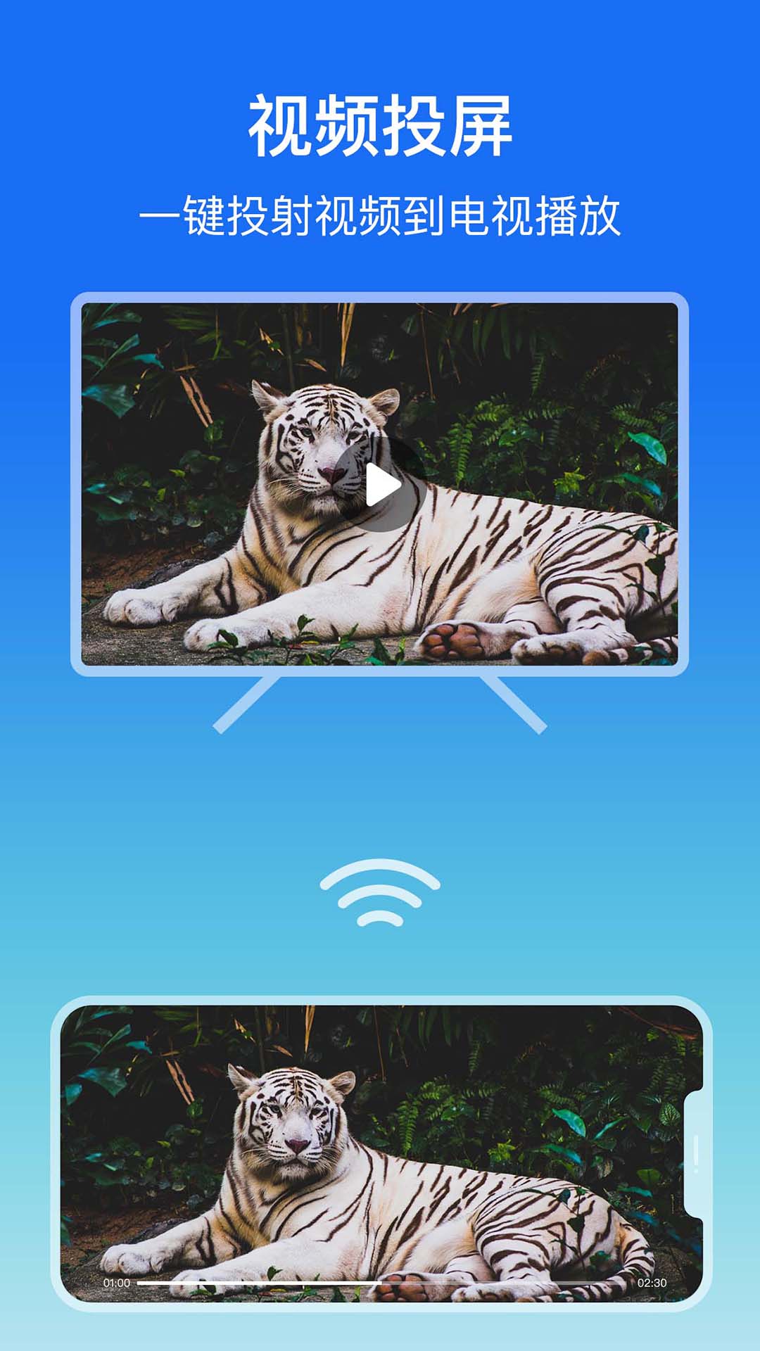屏幕镜像app官方版下载问题解析