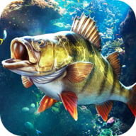 欢乐钓鱼大师vivo版下载 - 休闲钓鱼手游体验