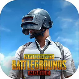 PUBG国际服正式版下载：腾讯光子工作室群推出的国际大逃杀手游