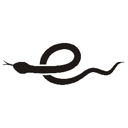 小蛇浏览器APP下载与功能介绍