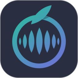 数据工场最新版下载：高效众包平台，轻松接取任务